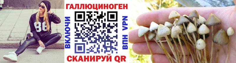 Галлюциногенные грибы мицелий  Ковылкино 